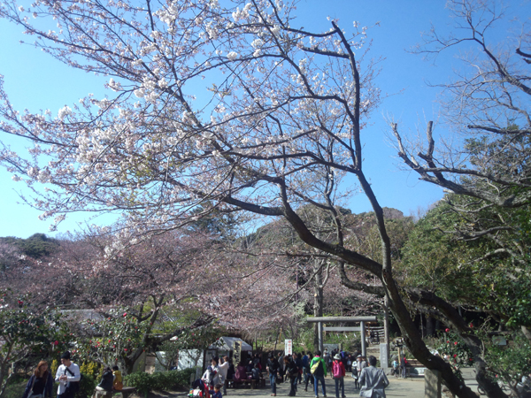 葛原岡神社 葛原岡神社